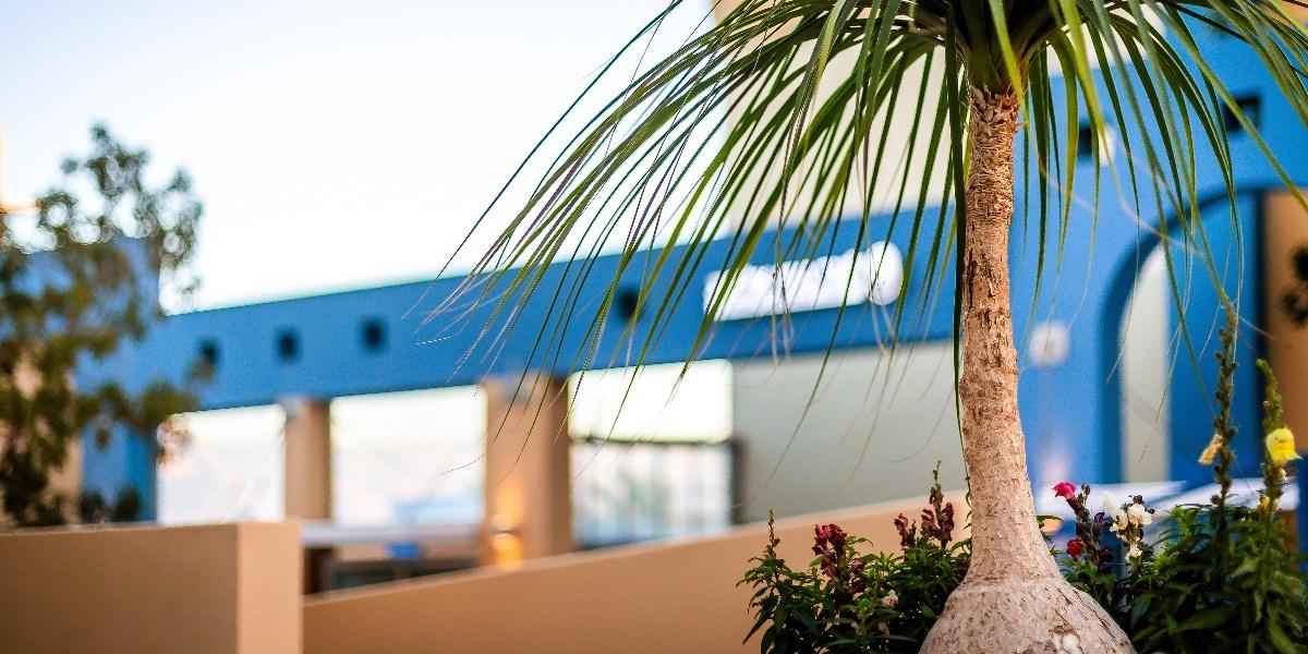 Almogim Suites Eilat Hotel (Adults Only) Buitenkant foto